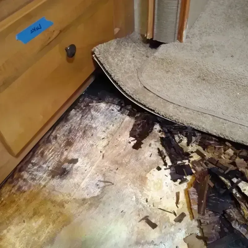 Best Wood Floor Water Damage Service in Creede, CO